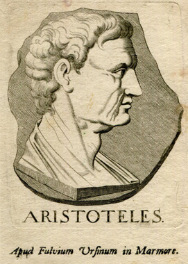 aristotelis 31